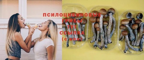 PSILOCYBIN Бугульма